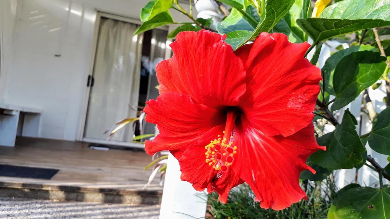 Herons Reef Holiday Apartments Rarotonga Dış mekan fotoğraf