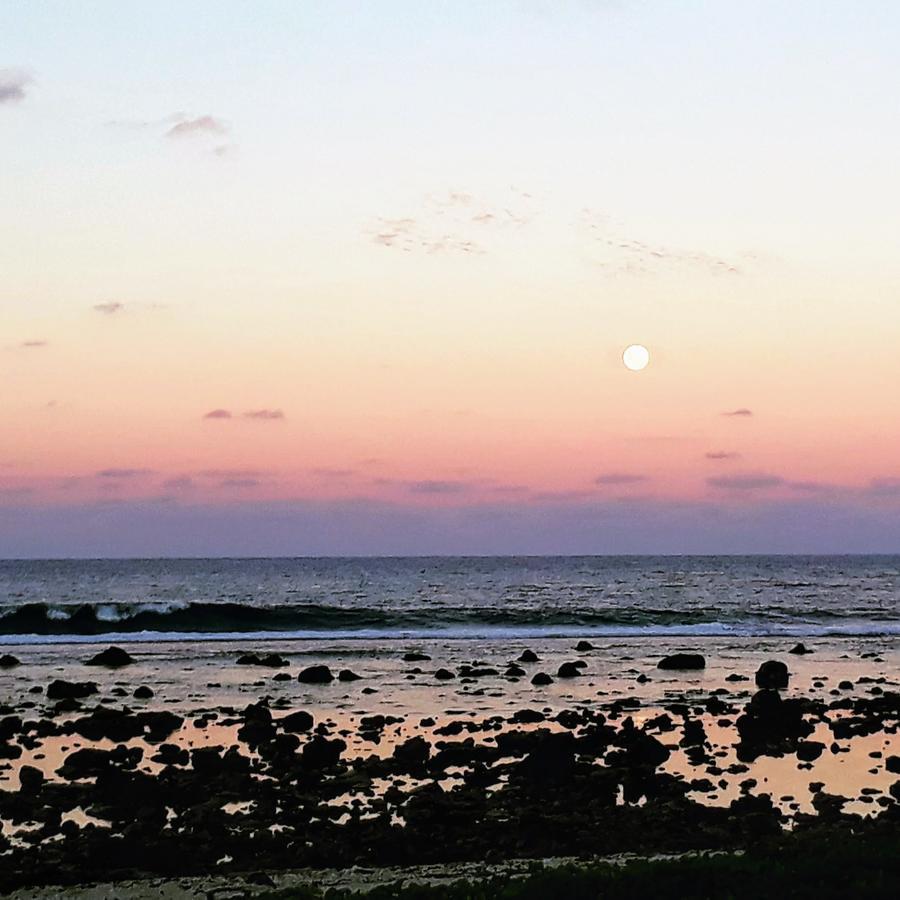 Herons Reef Holiday Apartments Rarotonga Dış mekan fotoğraf